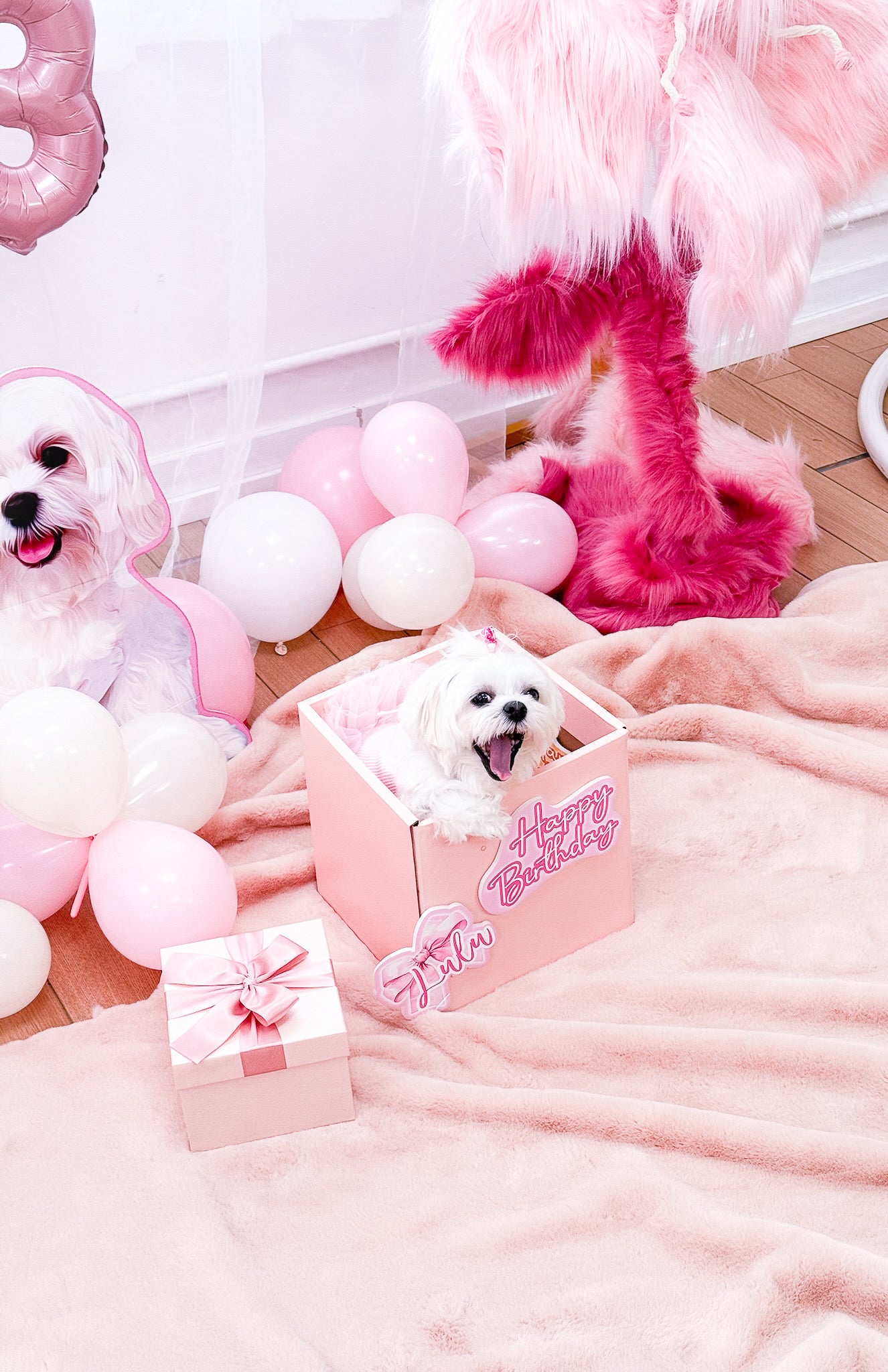 毛孩生日打卡必備 禮物盒 Gift Box Party Decoration 【多個毛孩貓狗排版設計】