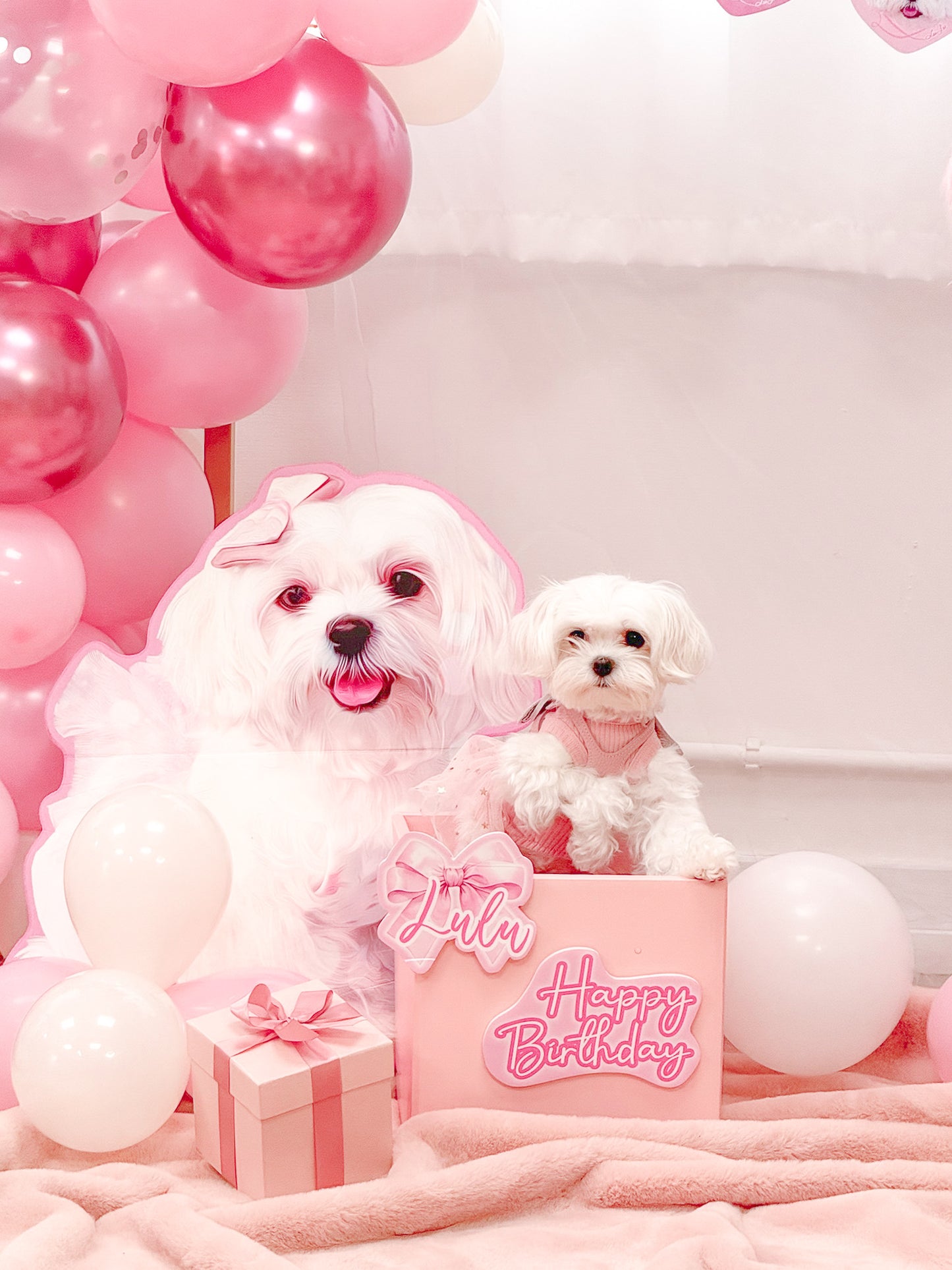 巨大化狗狗Foamboard Birthday Party Decoration 【多個毛孩貓狗排版設計】