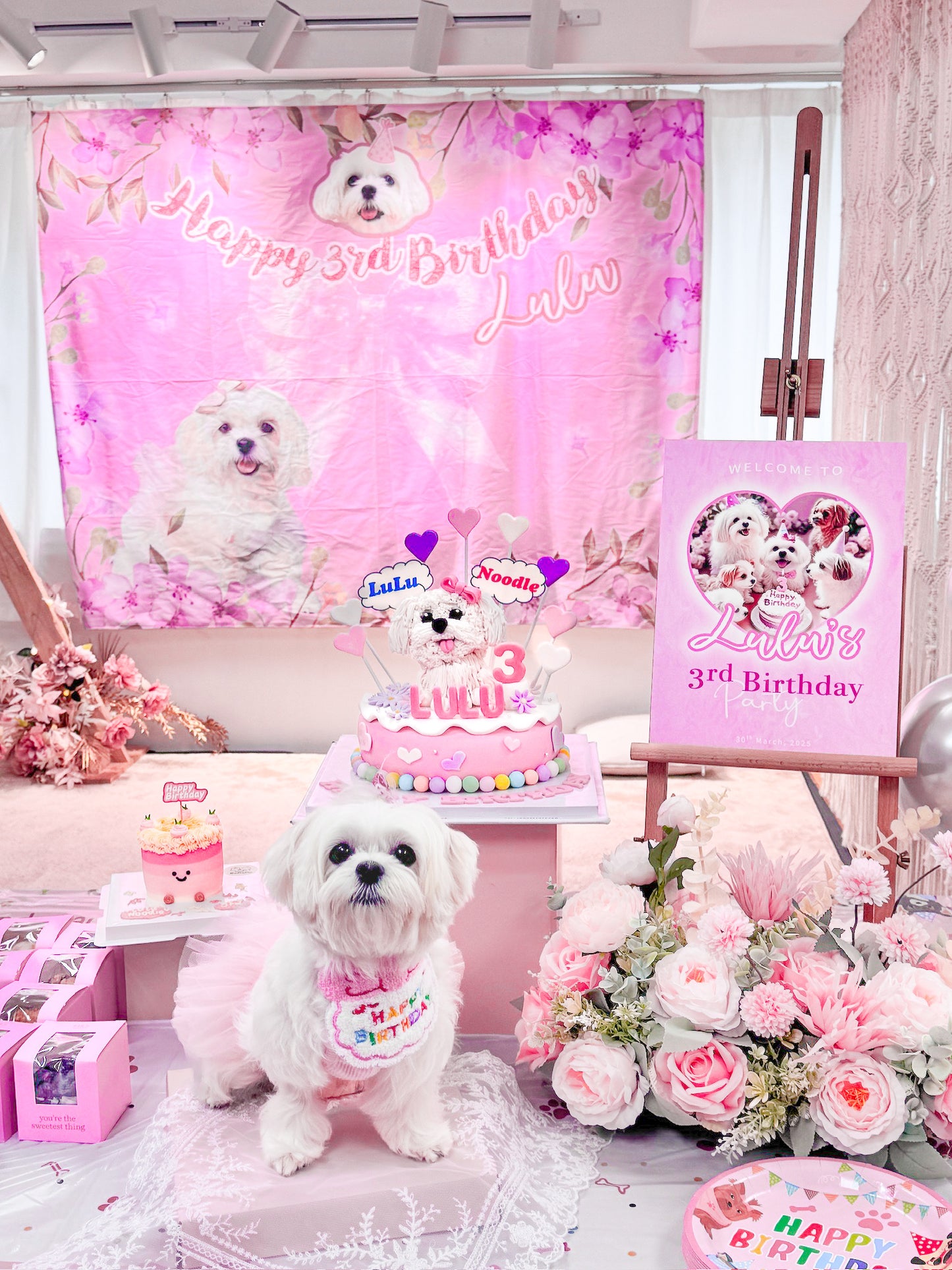 派對大合照打卡 背景布掛布牆 Photography Backdrop Wall Hanging Cloth Party Decoration 【多個毛孩貓狗排版設計】