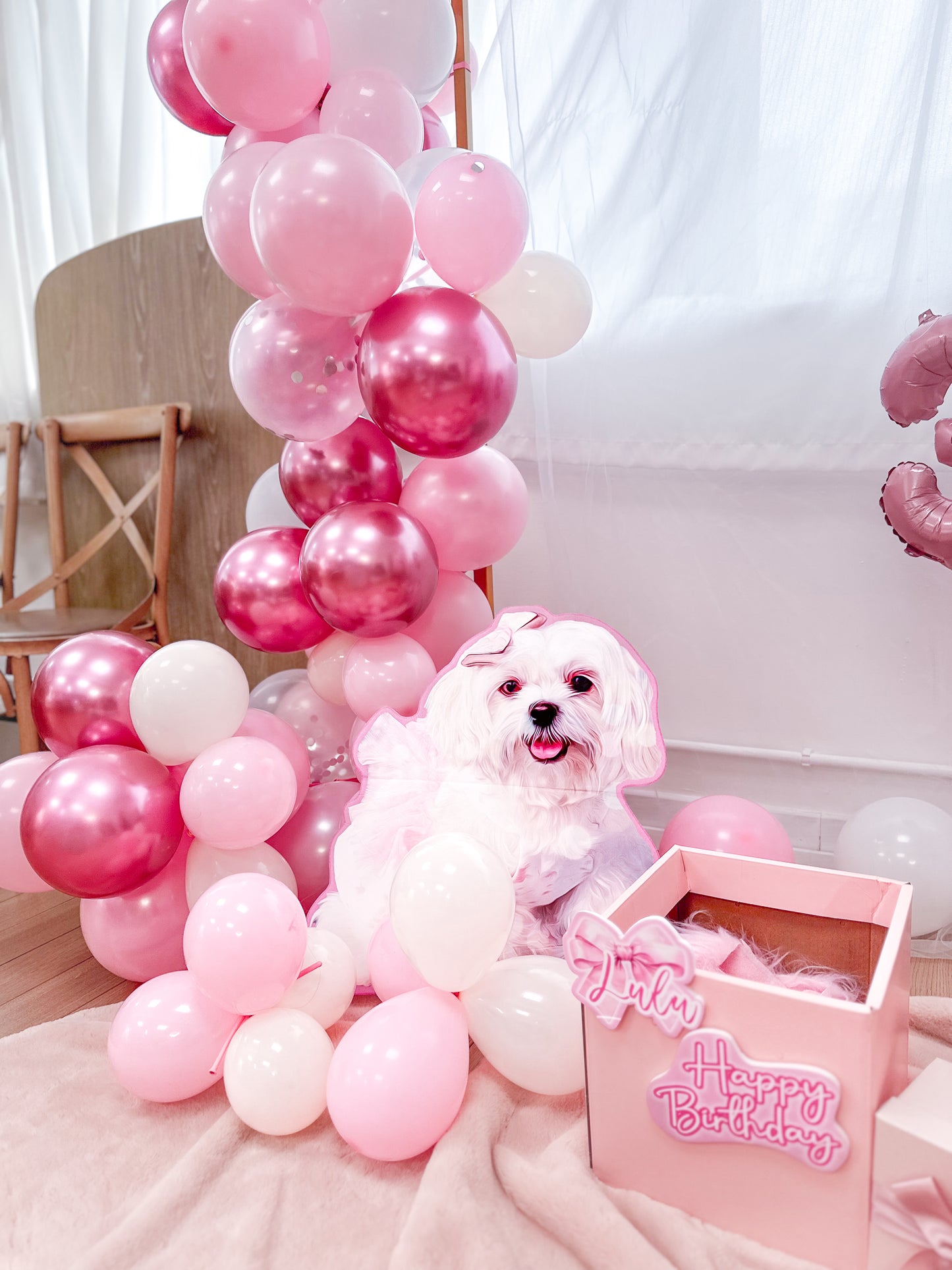 巨大化狗狗Foamboard Birthday Party Decoration 【多個毛孩貓狗排版設計】