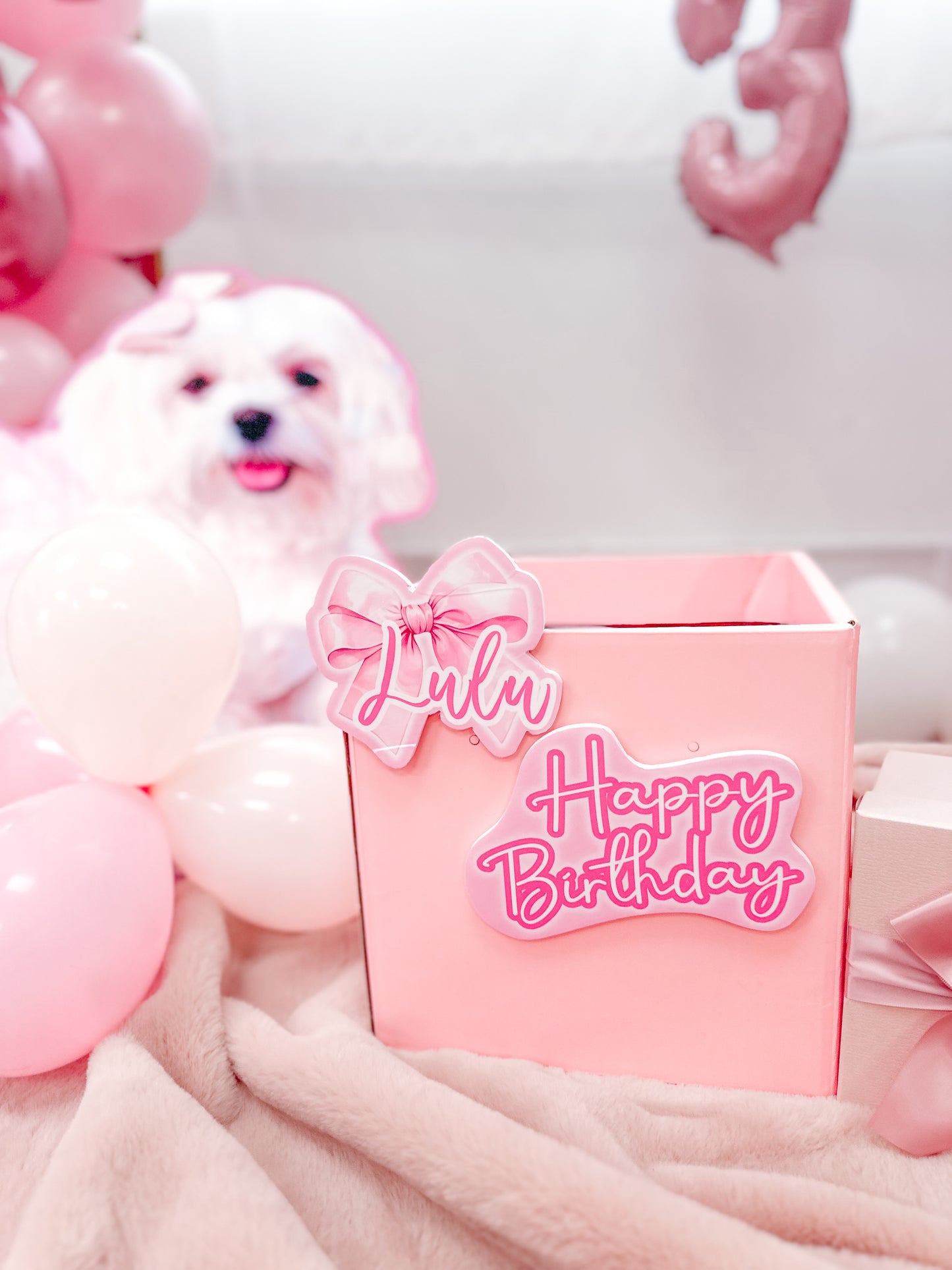 毛孩生日打卡必備 禮物盒 Gift Box Party Decoration 【多個毛孩貓狗排版設計】