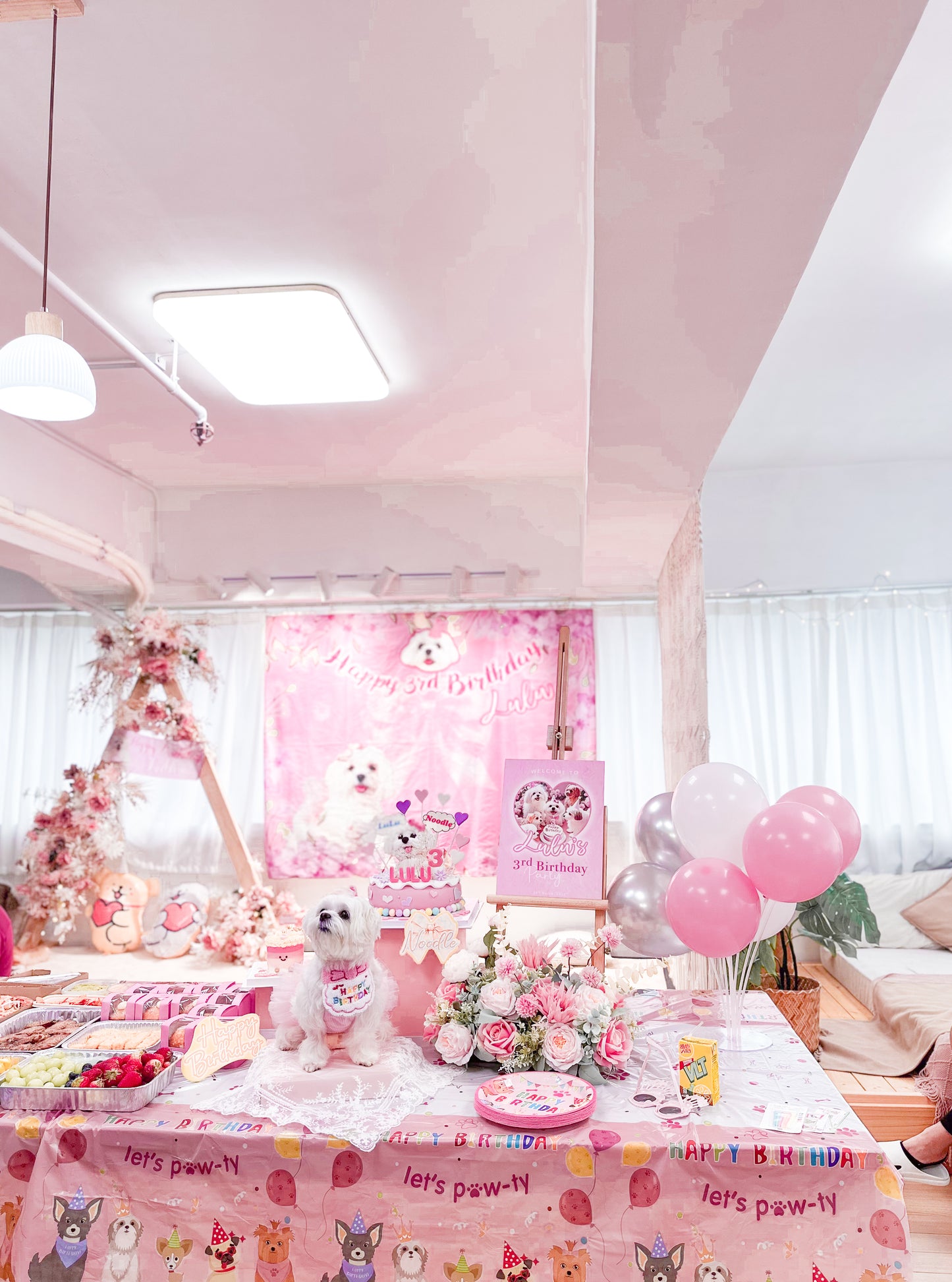 派對大合照打卡 背景布掛布牆 Photography Backdrop Wall Hanging Cloth Party Decoration 【多個毛孩貓狗排版設計】