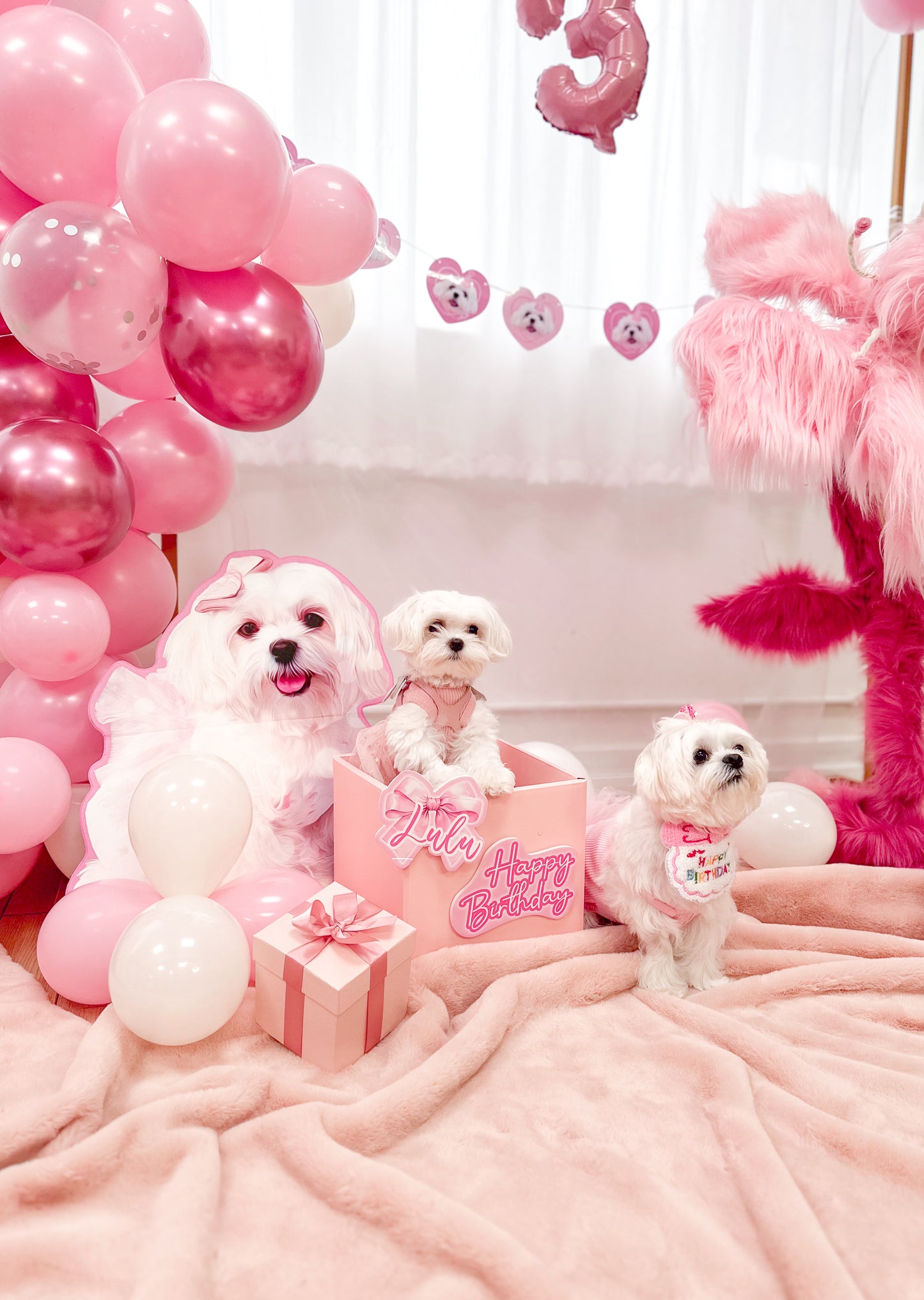 巨大化狗狗Foamboard Birthday Party Decoration 【多個毛孩貓狗排版設計】