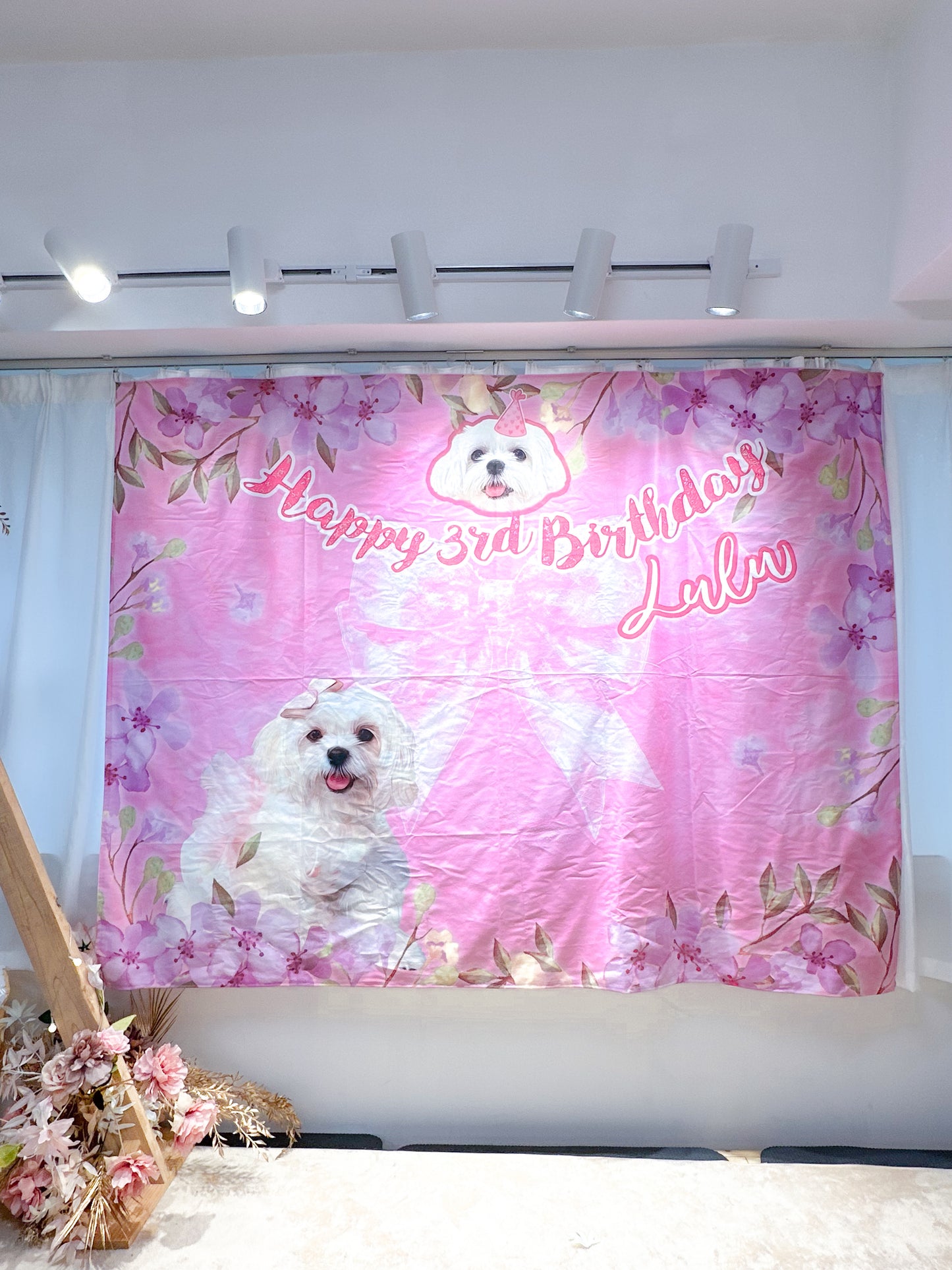 派對大合照打卡 背景布掛布牆 Photography Backdrop Wall Hanging Cloth Party Decoration 【多個毛孩貓狗排版設計】