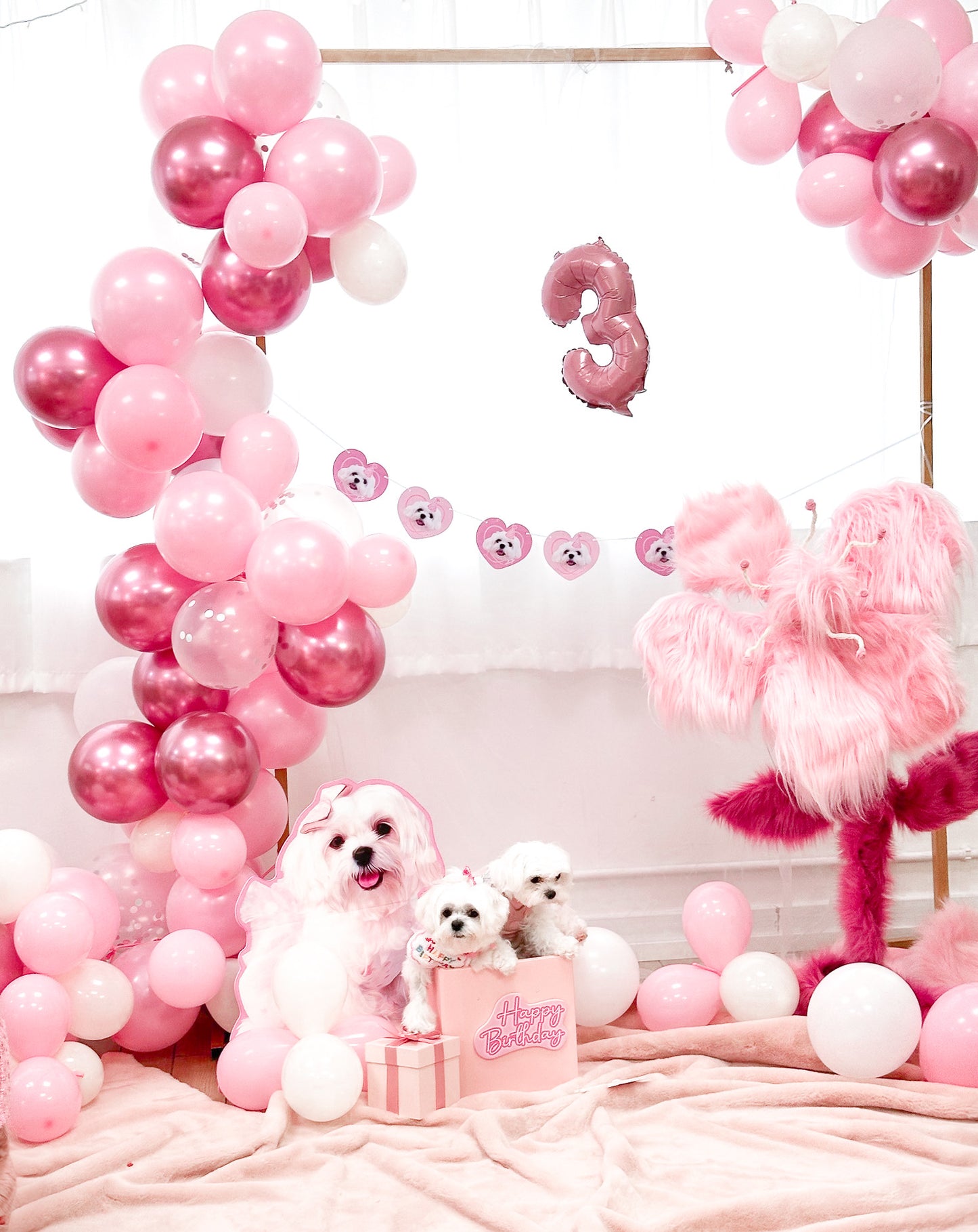 【租用低至$200,自家手工製】巨型毛毛花 派對打卡佈置 Handmade Furry Flower Decoration【多個毛孩貓狗排版設計】