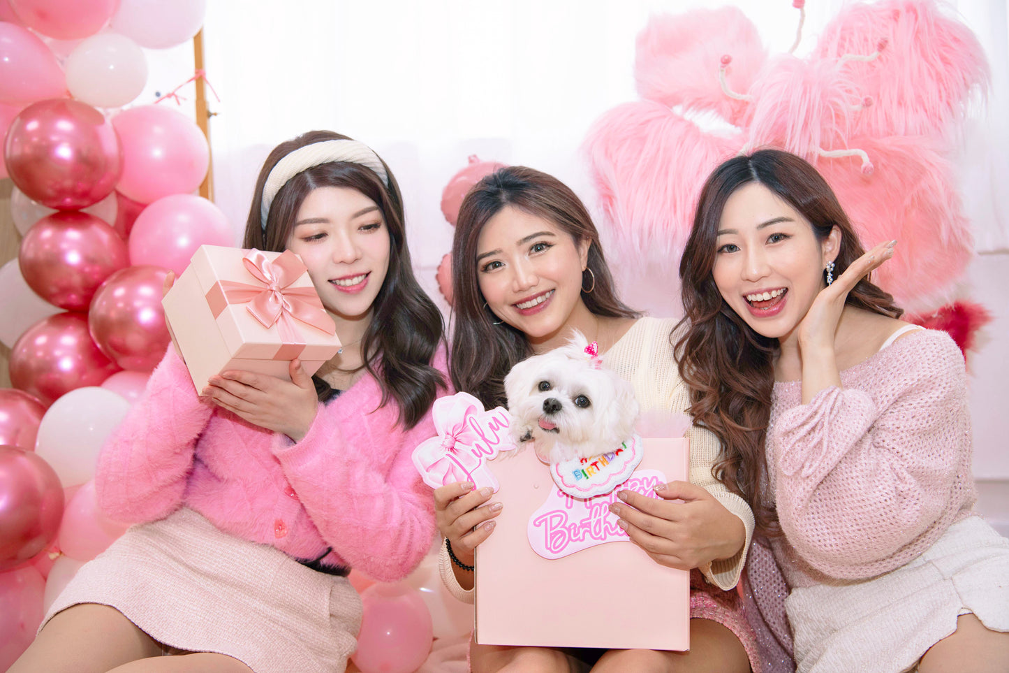 毛孩生日打卡必備 禮物盒 Gift Box Party Decoration 【多個毛孩貓狗排版設計】