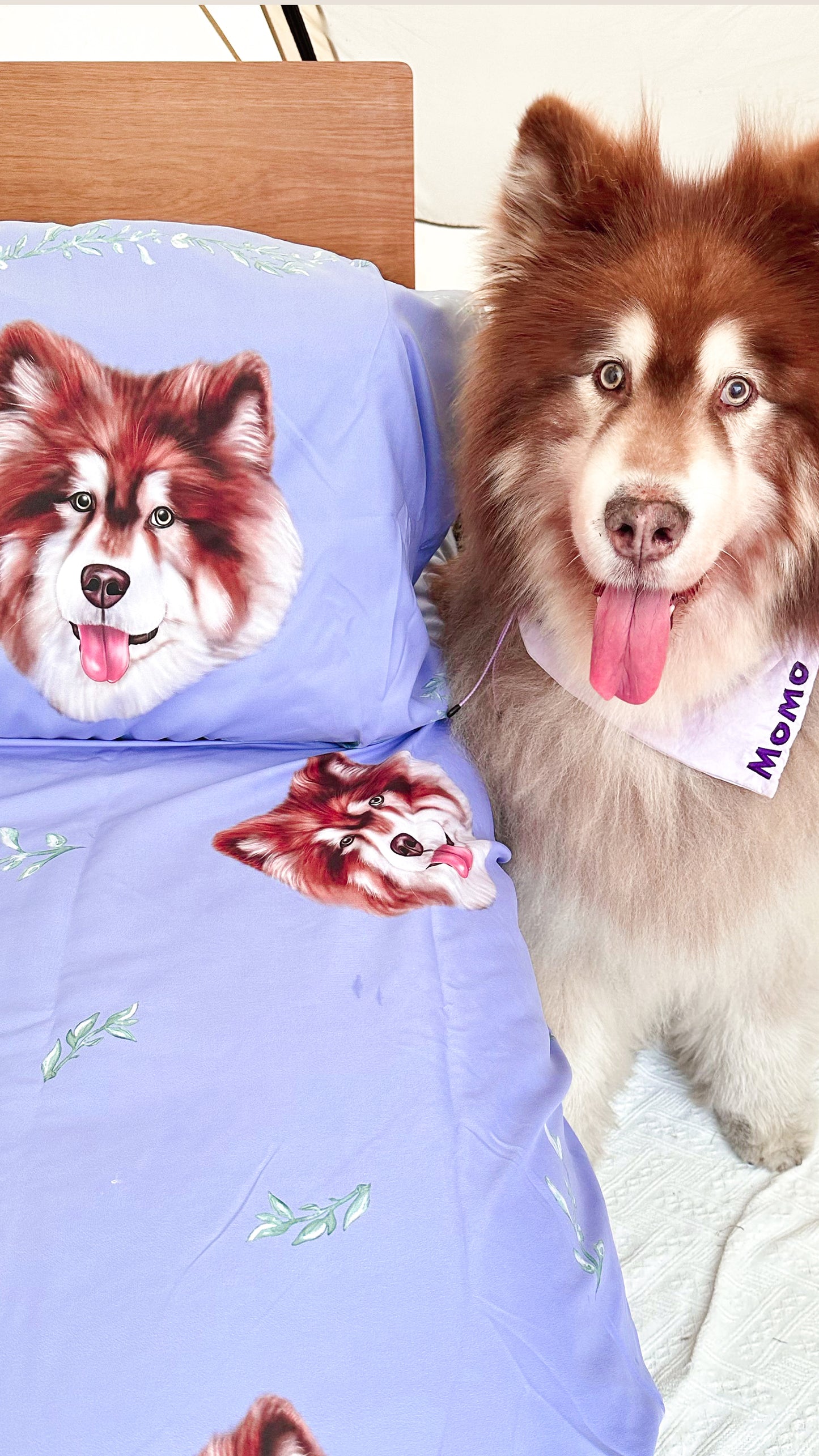 床笠+被套+枕頭套 Bed Sheet Set【多個毛孩貓狗排版設計】