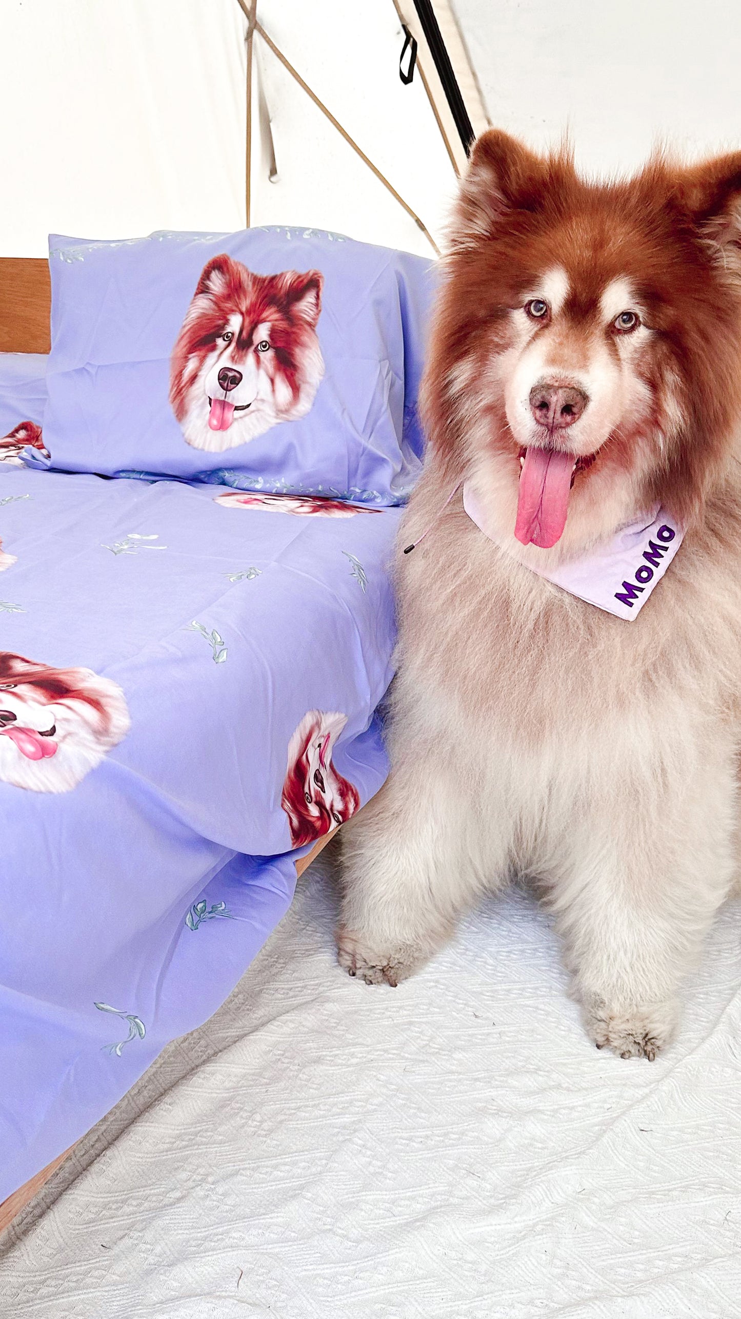 床笠+被套+枕頭套 Bed Sheet Set【多個毛孩貓狗排版設計】