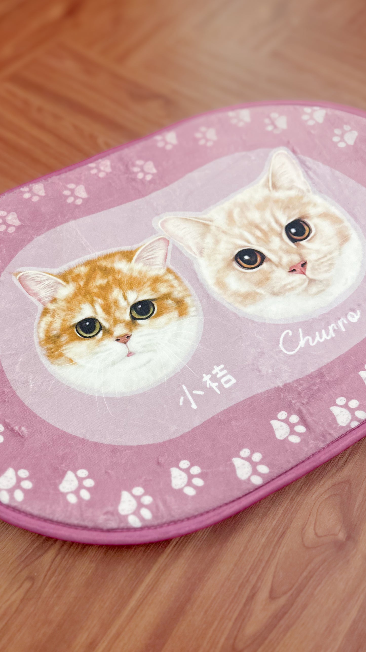 毛絨絨地毯 Door Mat【不同尺寸/形狀勻可訂製 | 多個毛孩貓狗排版設計】