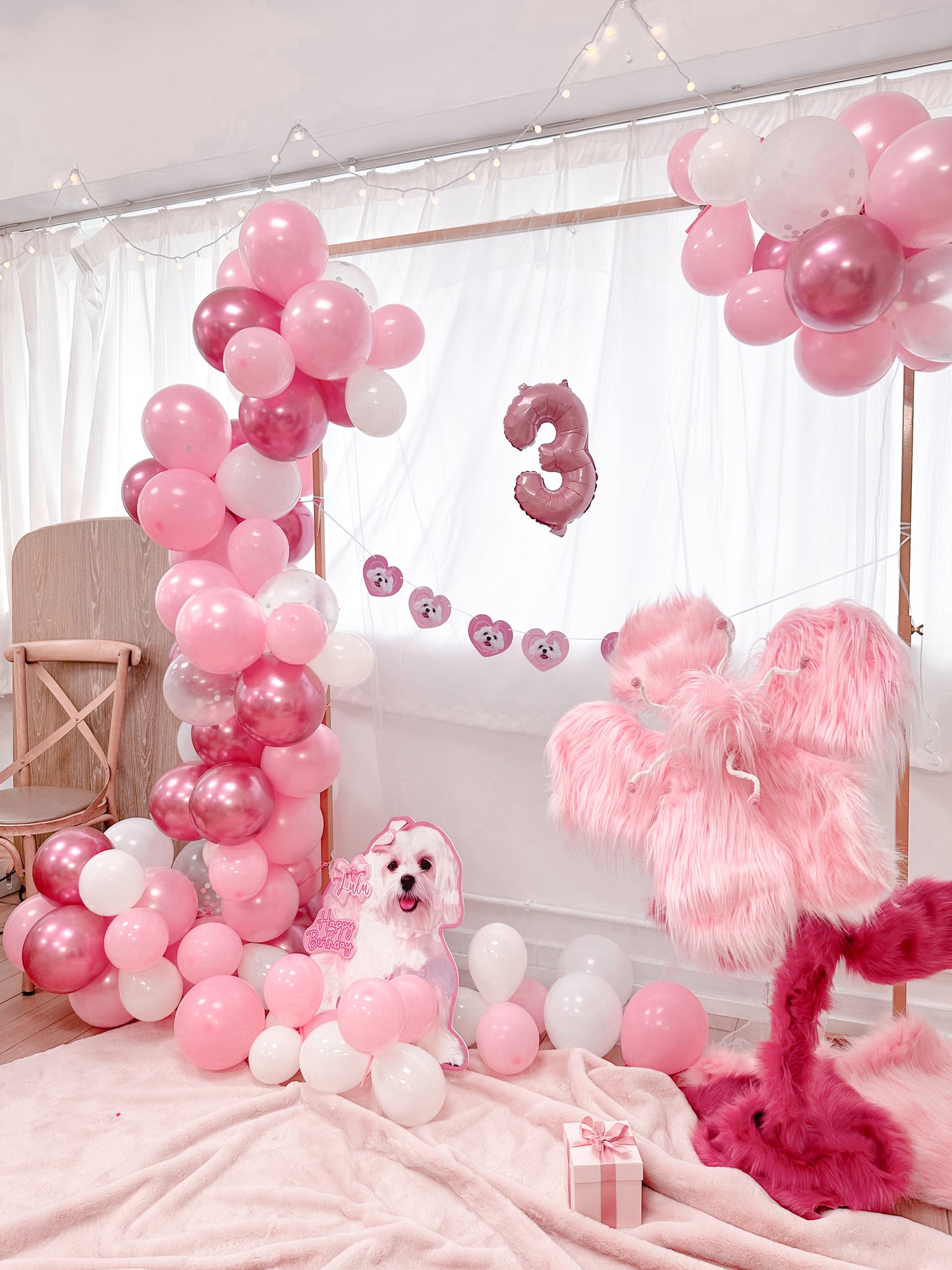 【租用低至$200，自家手工製】巨型毛毛花 派對打卡佈置 Handmade Furry Flower Decoration【多個毛孩貓狗排版設計】