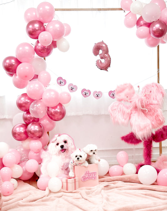 【到場佈置方案】氣球佈置+ 大Backdrop + Welcome Poster + 生日旗 + 派對打卡拍照道具 Instagrammable Birthday Party Decoration Setup