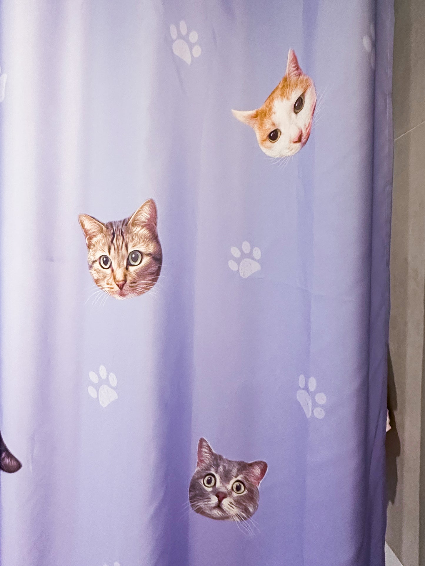 抗菌抗菌防霉客製浴簾 Shower Curtain｜毛孩照片訂製肖像設計（多隻排版設計）